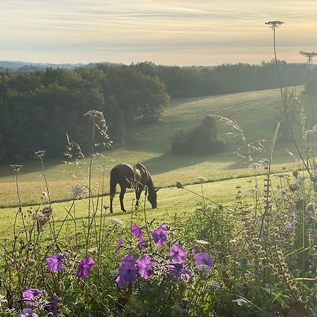 圣西普里安Domaine De Cazal - Gite 2 Pers Avec Piscine Au Coeur De 26 Hectares De Nature Preservee别墅 外观 照片