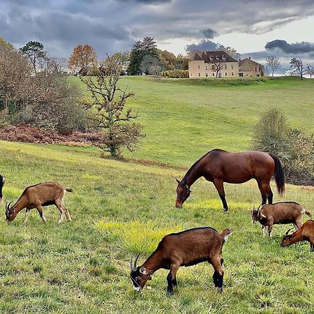 Domaine De Cazal - Gite 2 Pers Avec Piscine Au Coeur De 26 Hectares De Nature Preservee 圣西普里安 外观 照片