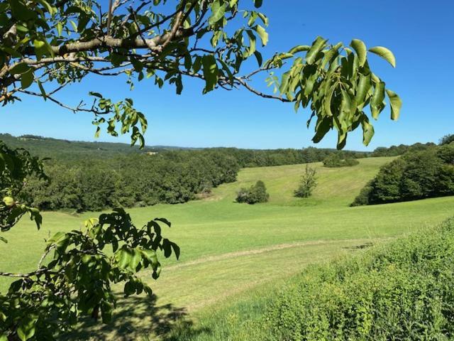 Domaine De Cazal - Gite 2 Pers Avec Piscine Au Coeur De 26 Hectares De Nature Preservee 圣西普里安 外观 照片