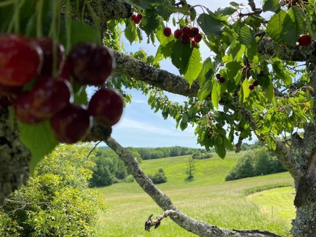 圣西普里安Domaine De Cazal - Gite 2 Pers Avec Piscine Au Coeur De 26 Hectares De Nature Preservee别墅 外观 照片