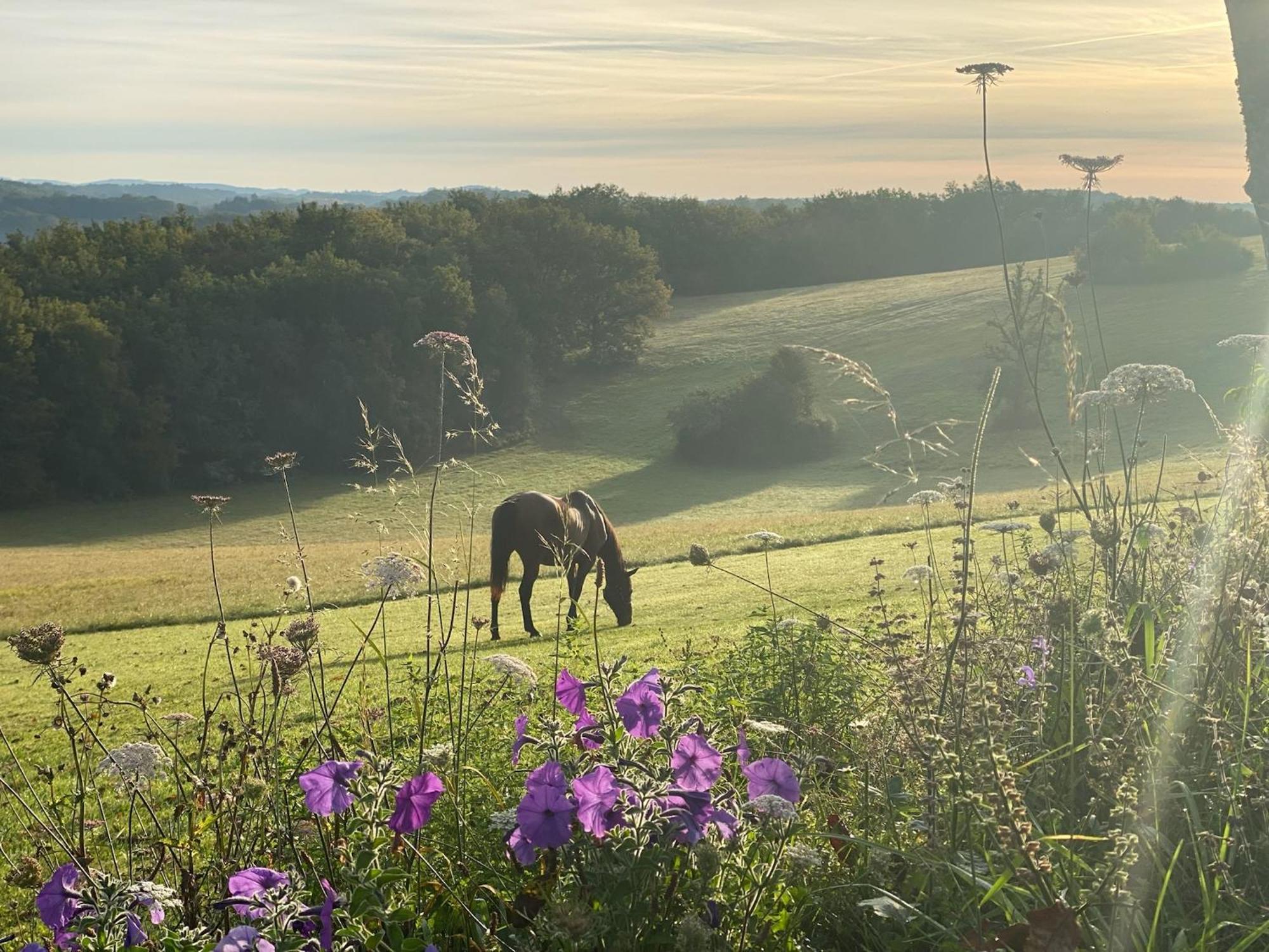 Domaine De Cazal - Gite 2 Pers Avec Piscine Au Coeur De 26 Hectares De Nature Preservee 圣西普里安 外观 照片